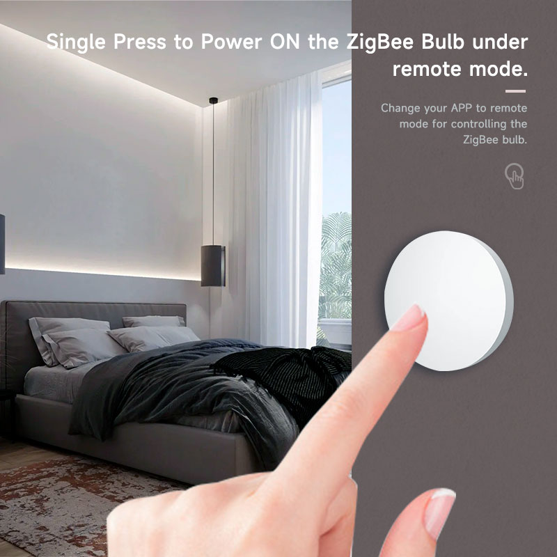 Zigbee3.0 2MQTT Smart Button S - Diy Electronics Button avaliação e preço